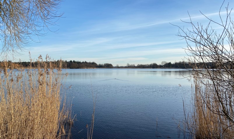 Fockbeker See im Frühjahr